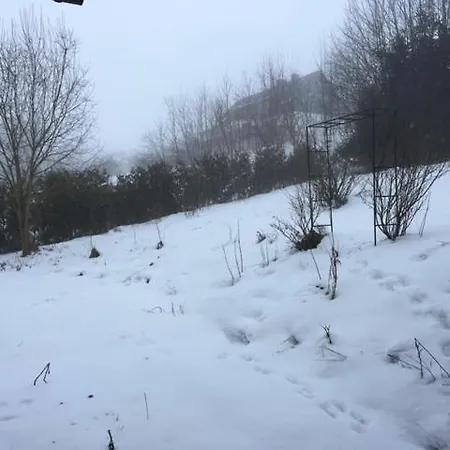 Couette-café Haus Nova Am Bollerberg 3*