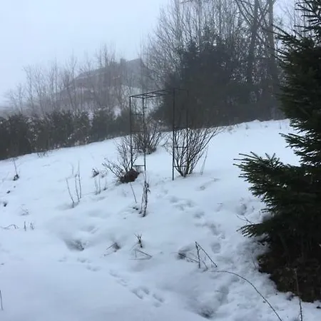 Couette-café Haus Nova Am Bollerberg Hallenberg