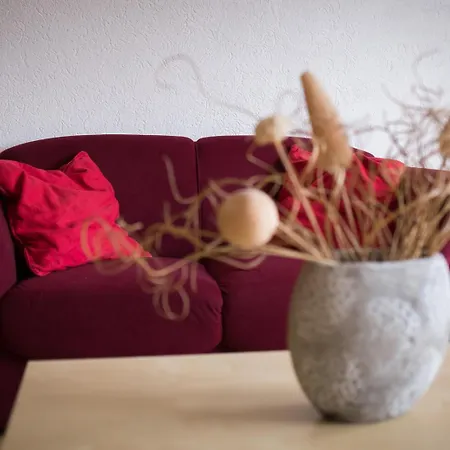 Haus Nova Am Bollerberg 3* Халленберг