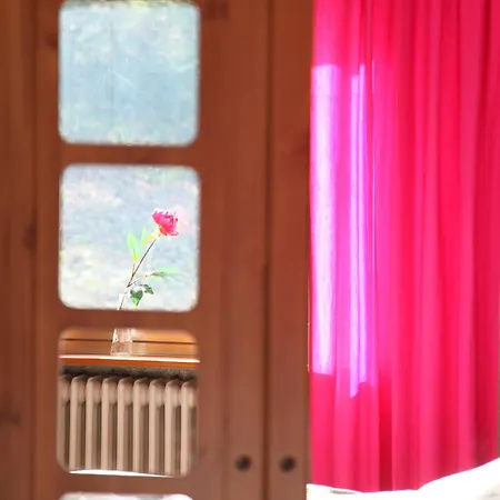 Haus Nova Am Bollerberg Отель типа 