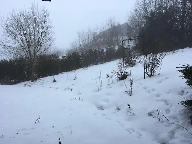 Nocleg ze śniadaniem Haus Nova Am Bollerberg 3*